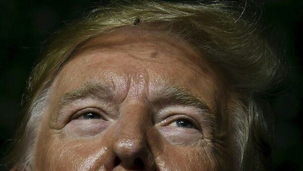 Con ruồi «dạo chơi» trên tóc Tổng thống Mỹ Donald Trump khi ông diễn thuyết tại Jamestown, bang Virginia - Sputnik Việt Nam