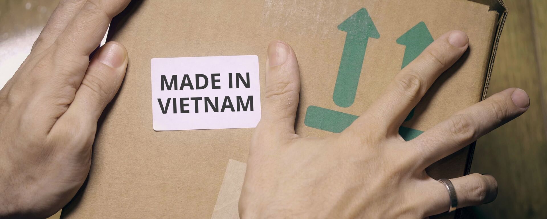 Made in Vietnam - Sputnik Việt Nam, 1920, 02.08.2019