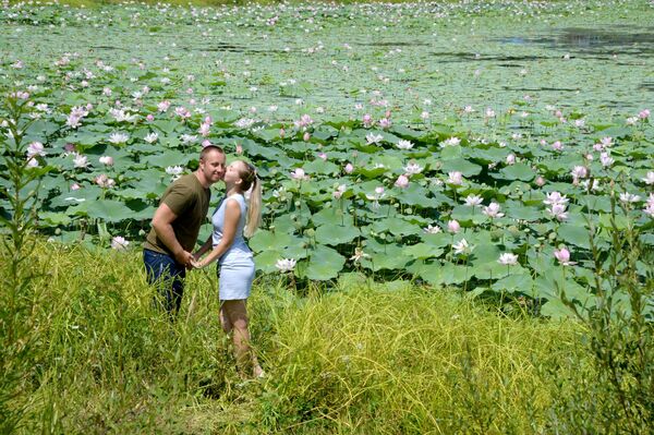 Khách tham quan lễ hội Lotus-2019 trên hồ Basseyn gần làng Yakovlevka - Sputnik Việt Nam