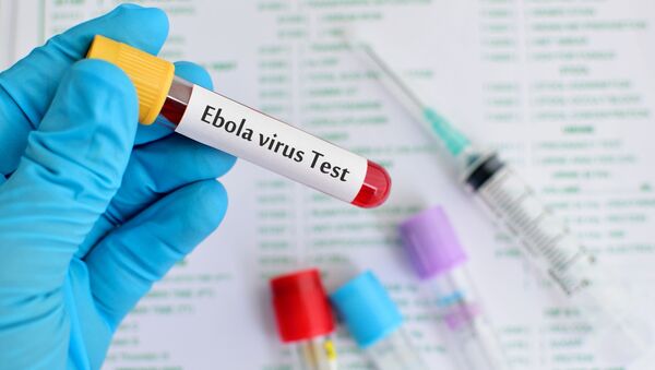 Пробирка с кровью на тест эболы - Sputnik Việt Nam
