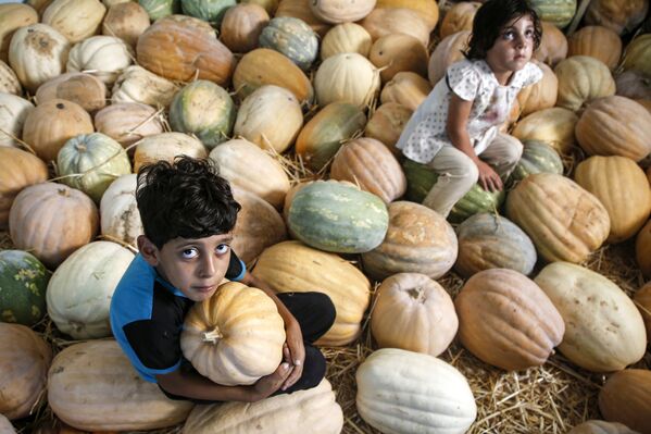 Trẻ em Palestine trong vụ thu hoạch bí ngô ở Beit Lahia, bắc Gaza - Sputnik Việt Nam