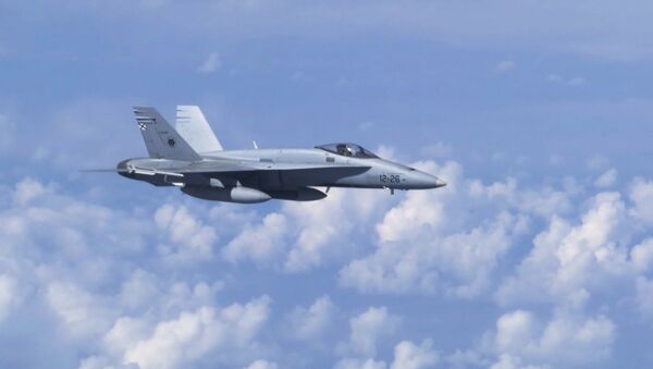 Máy bay chiến đấu F-18 của NATO đã cố gắng tiếp cận chuyên cơ của Bộ trưởng Quốc phòng Nga Sergei Shoigu  - Sputnik Việt Nam