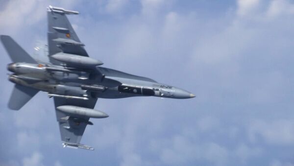 Истребитель НАТО F-18 у лайнера российского министра обороны Сергея Шойгу над нейтральными водами Балтийского моря - Sputnik Việt Nam
