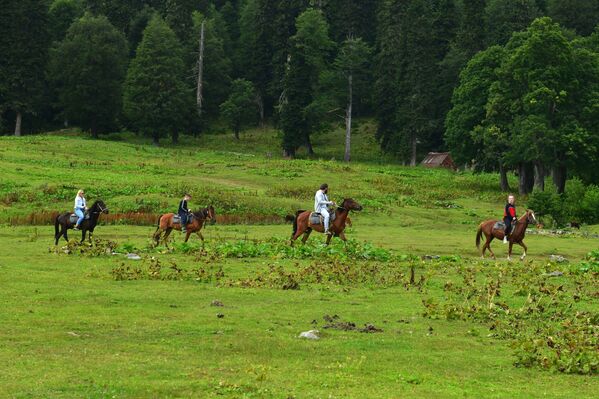 Khách du lịch trên lưng ngựa trong công viên quốc gia Ritsa ở Abkhazia - Sputnik Việt Nam