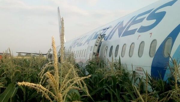 Máy bay chở khách A-321 Ural Airlines hạ cánh khẩn cấp ở ngoại ô Moskva - Sputnik Việt Nam