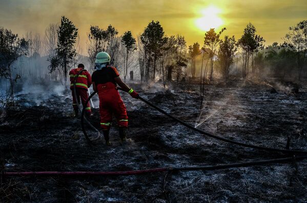 Dập tắt đám cháy rừng ở Sumatra, Indonesia - Sputnik Việt Nam