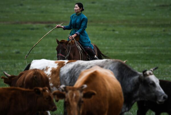 Người phụ nữ chăn cừu Mông Cổ - Sputnik Việt Nam