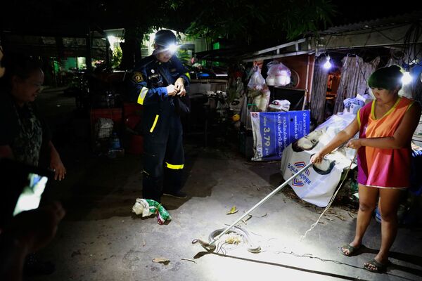 Người phụ nữ cầm con rắn hổ mang bị bắt tại nhà ở Bangkok, trước khi đội cứu hộ đến - Sputnik Việt Nam