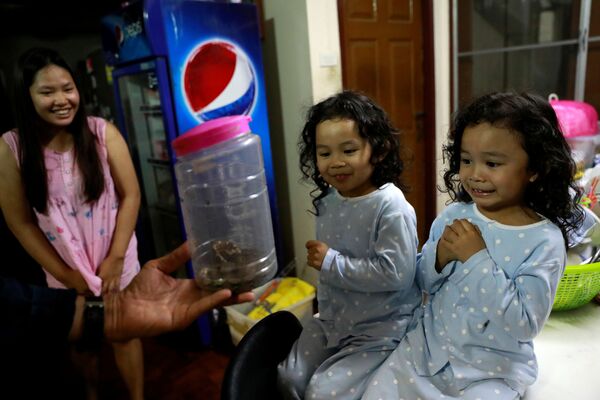Các bé gái nhìn những con rắn bị bắt trong nhà mình, Bangkok - Sputnik Việt Nam
