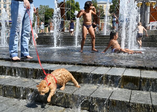 Người dân thành phố nghỉ ngơi trong đài phun nước trên Quảng trường Độc lập trong đợt nắng nóng ở Kiev - Sputnik Việt Nam