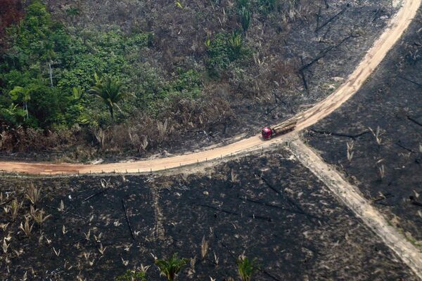 Cảnh rừng Amazon đang cháy nhìn từ trên cao - Sputnik Việt Nam