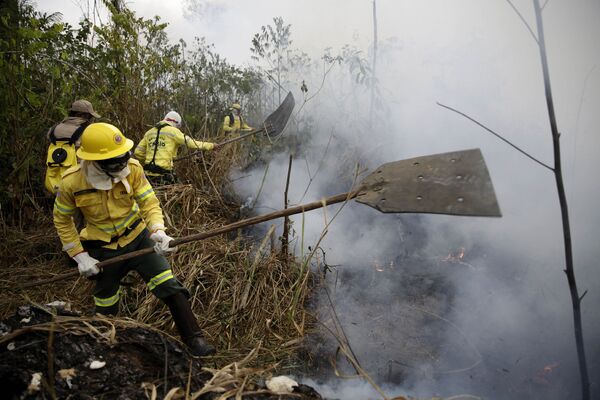 Lính cứu hỏa dập tắt đám cháy gần thành phố Porto Velho ở Brazil - Sputnik Việt Nam