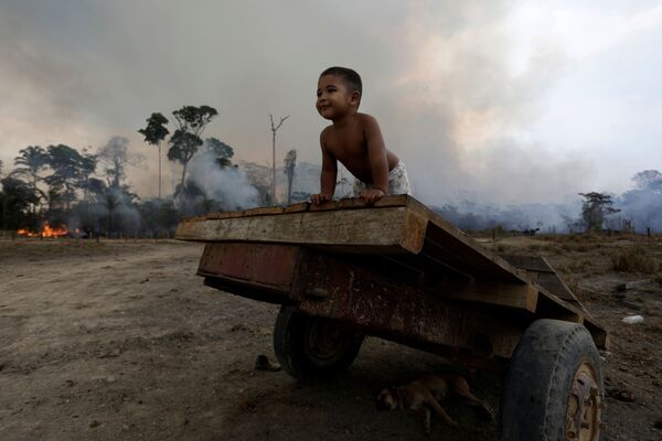 Đứa trẻ chơi đùa trên nền đám cháy rừng ở Amazon - Sputnik Việt Nam