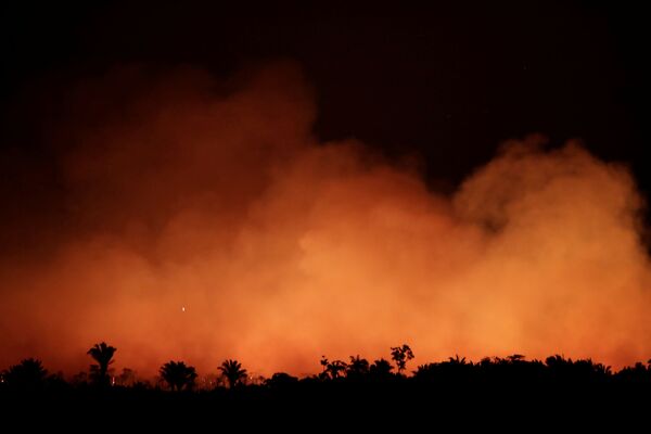 Khói từ đám cháy rừng Amazon - Sputnik Việt Nam
