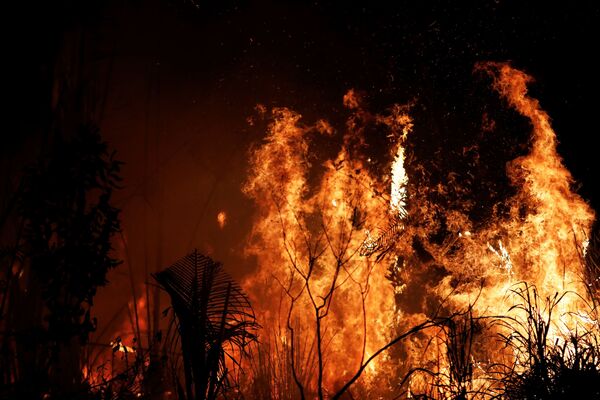 Đám cháy rừng ở Amazon, Brazil - Sputnik Việt Nam