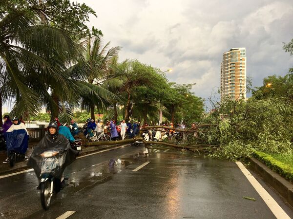 Cơn giông kèm theo mưa lớn và gió giật mạnh vừa xảy ra cuối giờ chiều 29/8/2019 đã làm nhiều cây trên một số tuyến phố bị đổ gãy, gây khó khăn cho người và phương tiện tham gia giao thông vào đúng giờ tan tầm - Sputnik Việt Nam
