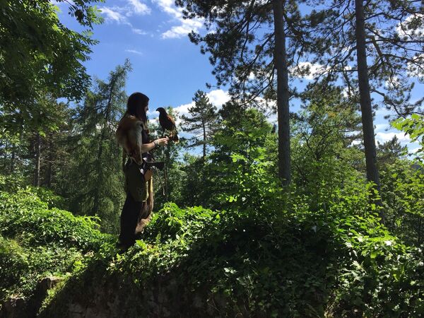 Cô gái với  diều hâu trong rừng Tuttlingen ở Đức - Sputnik Việt Nam