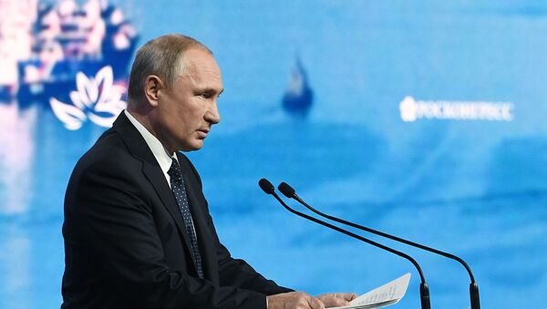 Vladimir Putin tham gia Diễn đàn kinh tế Đông - 2019  - Sputnik Việt Nam