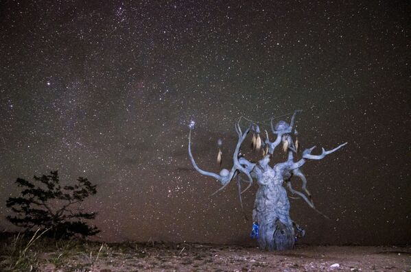 Tác phẩm Điêu khắc Người bảo vệ Baikal trên đảo Olkhon  - Sputnik Việt Nam