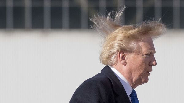 Tổng thống Mỹ Donald Trump - Sputnik Việt Nam