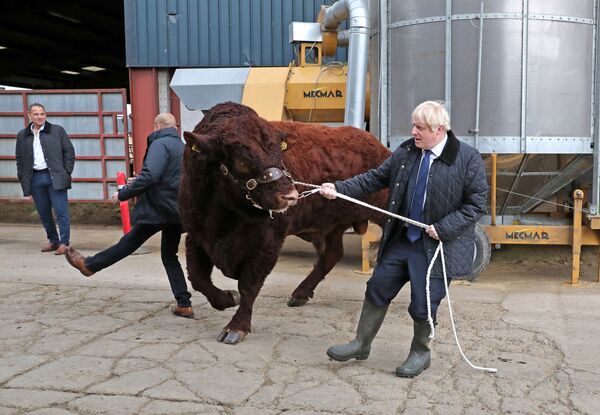 Thủ tướng Anh Vladimir Johnson đến thăm một trang trại ở Scotland - Sputnik Việt Nam