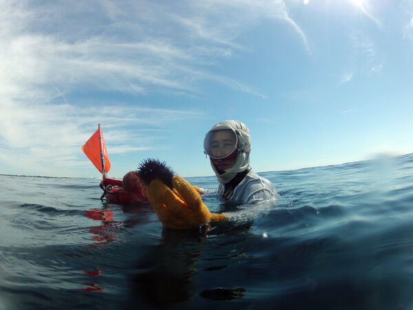 Nữ thợ lặn cầm con nhím biển bắt được ở đáy biển - Sputnik Việt Nam