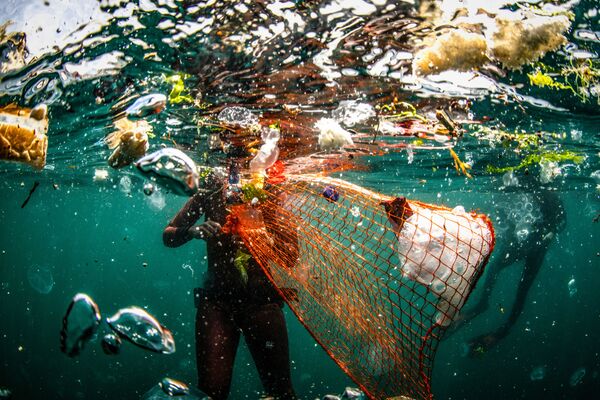 Bức ảnh Trash của nhiếp ảnh gia Sebnem Coskun, lọt chung kết cuộc thi Environmental Photographer of the Year 2019 - Sputnik Việt Nam