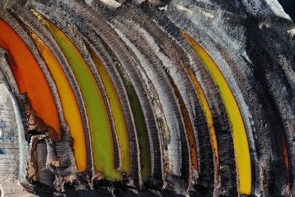 Bức ảnh Remains of the Forest của nhiếp ảnh gia J Henry Fair, đoạt giải Climate Action and Energy Prize 2019 trong khuôn khổ cuộc thi Environmental Photographer of the Year 2019 - Sputnik Việt Nam