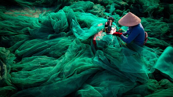 Bức ảnh “Trái tim đại dương” của nhiếp ảnh gia Trần Tuấn Việt, lọt chung kết cuộc thi Environmental Photographer of the Year 2019 - Sputnik Việt Nam