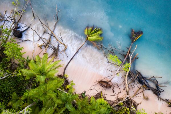 Bức ảnh Tuvalu Beneath the Rising Tide I фотографа Sean Gallagher, đoạt giải Changing Environments Prize 2019, trong khuôn khổ cuộc thi Environmental Photographer of the Year 2019 - Sputnik Việt Nam