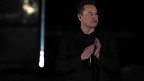 Doanh nhân Elon Musk - Sputnik Việt Nam