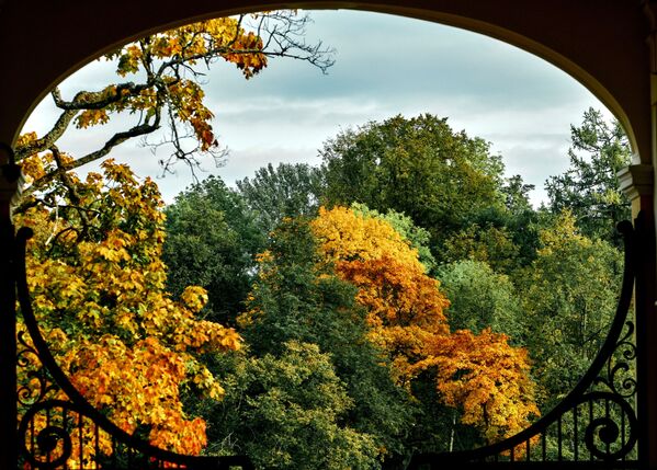 Mùa thu trong tổ hợp cung điện-công viên Oranienbaum, St. Petersburg - Sputnik Việt Nam
