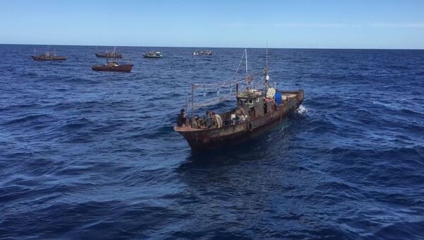 Lực lượng biên phòng Nga bắt giữ tàu chở những kẻ săn trộm của Bắc Triều Tiên - Sputnik Việt Nam