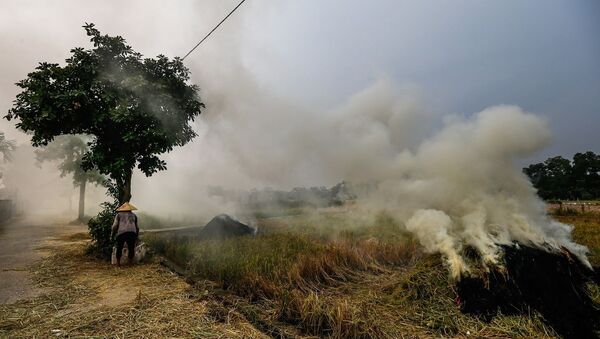Đốt rơm rạ gây khói mù tại khu vực các xã huyện Quốc Oai - Sputnik Việt Nam