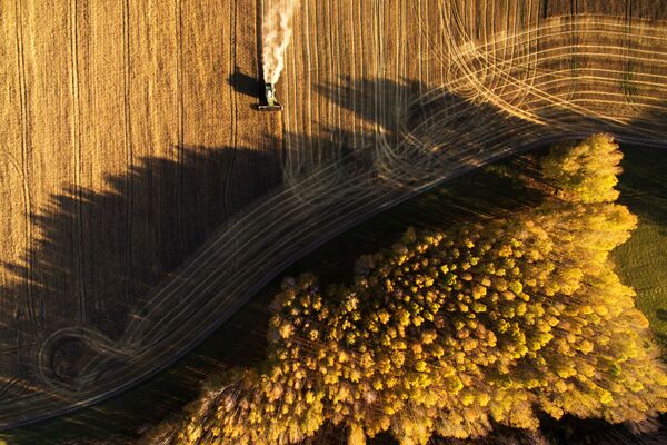 Thu hoạch ngũ cốc ở tỉnh Novosibirsk, Liên bang Nga - Sputnik Việt Nam