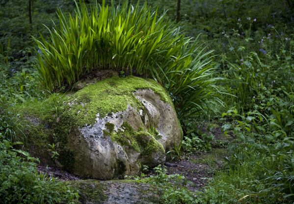 Tác phẩm điêu khắc trong Công viên Lost Heligan ở lãnh địa Cornwall - Sputnik Việt Nam