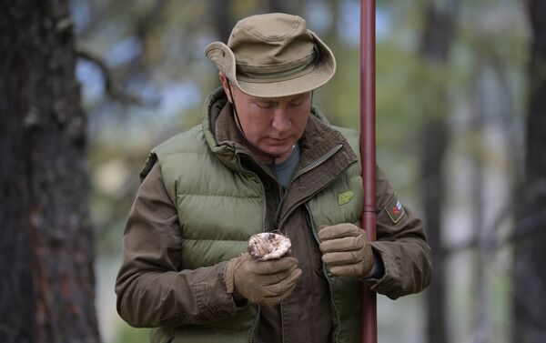 Tổng thống Liên bang Nga Vladimir Putin tại rừng taiga ở Siberia - Sputnik Việt Nam