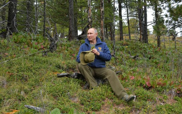 Tổng thống Liên bang Nga Vladimir Putin tại rừng taiga ở Siberia - Sputnik Việt Nam