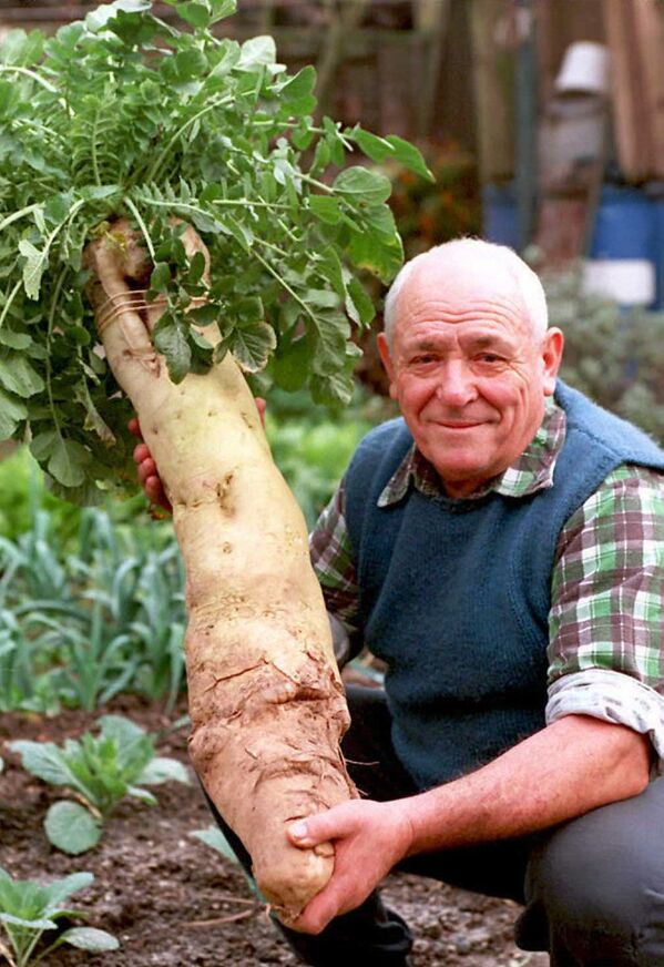 Oscar Wittmer, 71 tuổi, khoe củ cải trắng khổng lồ nặng 23 pound, Pháp. Năm 1994 - Sputnik Việt Nam