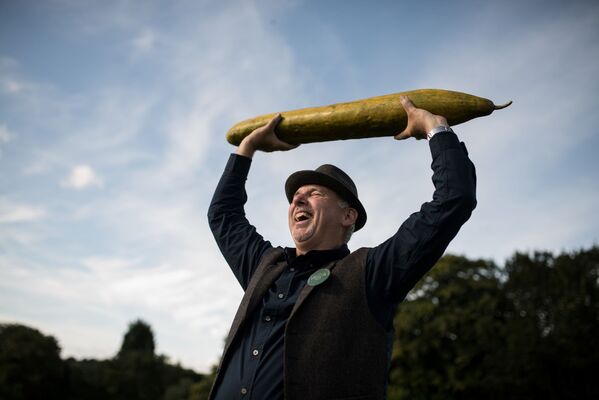 Người làm vườn Graham Barratt cầm trong tay quả dưa chuột dài 92 cm, chiến thắng hạng mục dưa chuột dài nhất tại cuộc thi rau khổng lồ ở Harrogate, Vương quốc Anh. Năm 2019 - Sputnik Việt Nam
