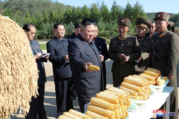 Nhà lãnh đạo Triều Tiên Kim Jong-un đến thăm một trang trại, CHND Triều Tiên - Sputnik Việt Nam