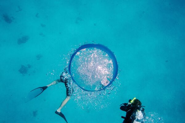 Các nhà khoa học lặn xuống biển để kiểm tra rạn san hô trên Quần đảo Virgin - Sputnik Việt Nam