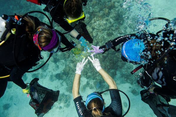 Lặn để kiểm tra san hô bị hư hại gần Đại học Quần đảo Virgin ở St. Thomas - Sputnik Việt Nam