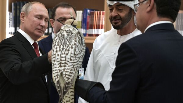 Vladimir Putin đã tặng Thái tử Abu Dhabi Muhammad bin Zayed al-Nahyan một con chim cắt màu trắng - Sputnik Việt Nam