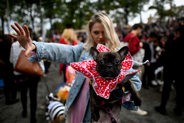 Những thành viên tham gia cuộc diễu hành chó Halloween hàng năm ở New York - Sputnik Việt Nam