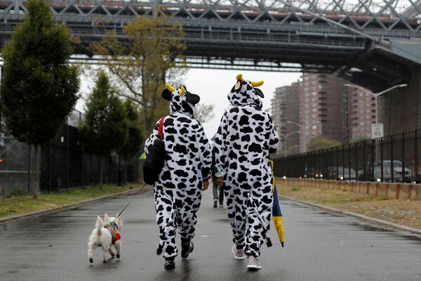 Những thành viên tham gia cuộc diễu hành chó Halloween hàng năm ở New York - Sputnik Việt Nam