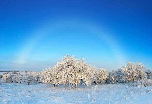 Với bức ảnh “White misty rainbow over the winter garden” (Cầu vồng sương mù trắng trên khu vườn mùa đông) nhiếp ảnh gia Elena Belozorova lọt vào vòng chung kết của cuộc thi Weather Photographer of the Year 2019  - Sputnik Việt Nam