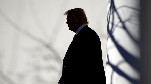 Tổng thống Hoa Kỳ Donald Trump đi bộ qua Đấu trường La Mã đến Phòng Bầu dục sau khi trở về Nhà Trắng ở Washington - Sputnik Việt Nam