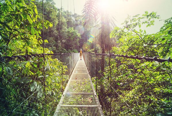 Đi bộ trong rừng rậm Costa Rica ở Trung Mỹ - Sputnik Việt Nam