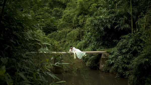 Nữ du khách trong khu rừng tre ở Nghi Tân, Trung Quốc - Sputnik Việt Nam